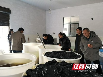 國(guó)家特色蔬菜產(chǎn)業(yè)技術(shù)體系專家赴鳳凰縣調(diào)研指導(dǎo)辣椒加工產(chǎn)業(yè)發(fā)展