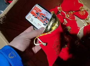 《多彩貴州風(fēng)》全國巡演 民族藝術(shù)的盛宴與舌尖上的山水